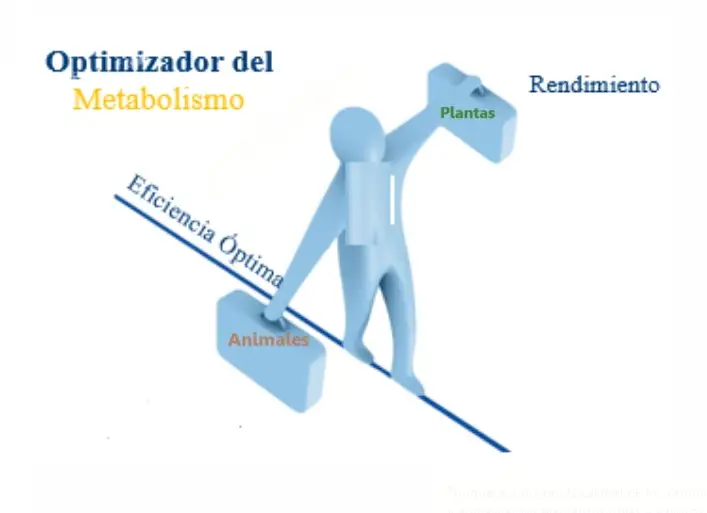 Imagen4 Imagen4