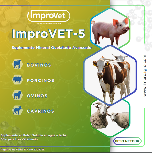 inprovet 5